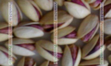 پسته احمد آقایی